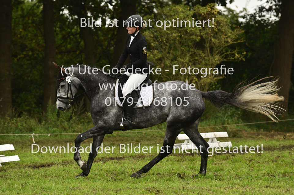 24092017--Dressur_24.jpg
