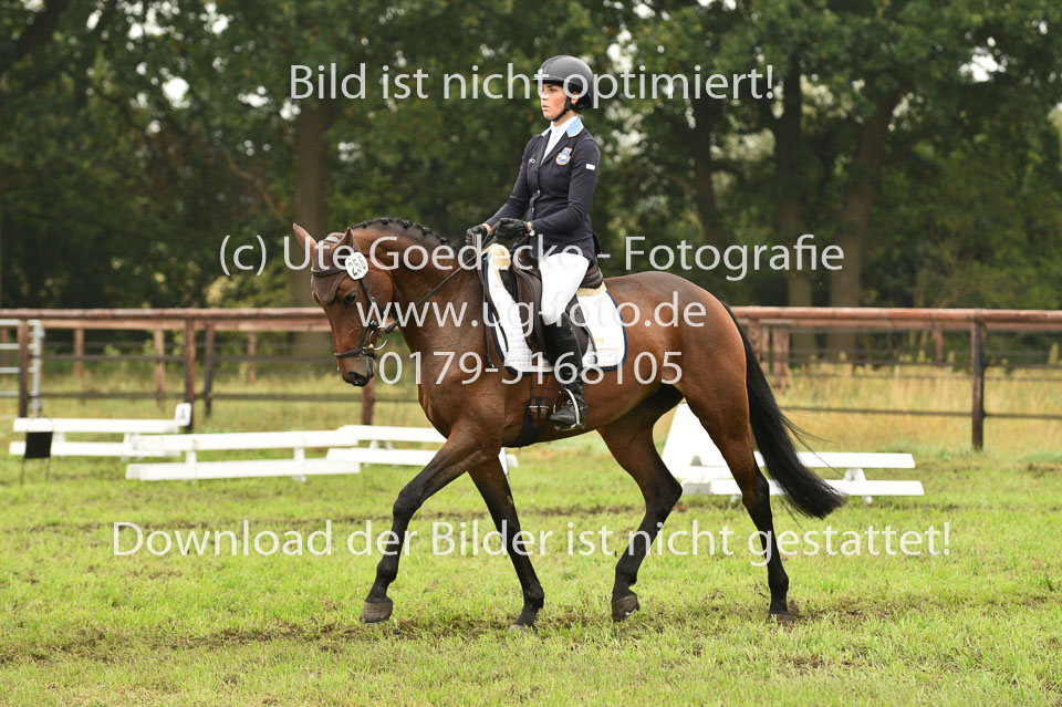 24092017--Dressur_53.jpg