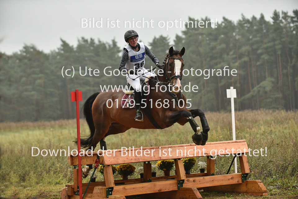 24092017---1-Abt-LK-5-6-_132.jpg