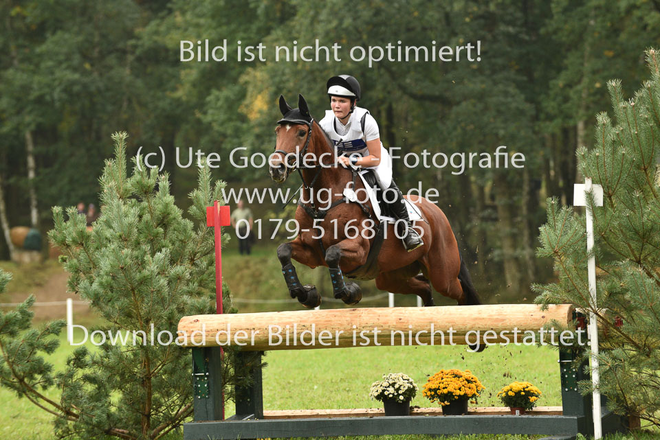 24092017---1-Abt-LK-5-6-_183.jpg