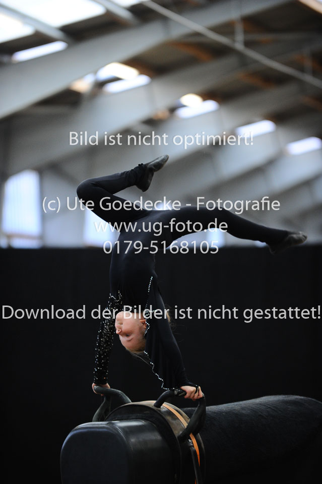 Ottenbüttel-2017---Einzelvoltigierer_009.jpg