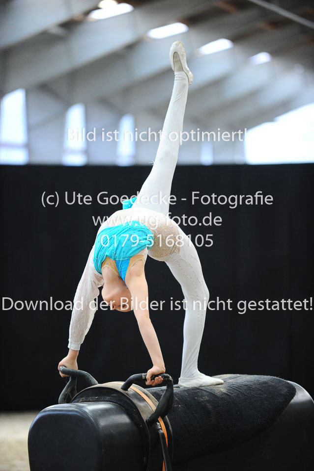 Ottenbüttel-2017---Einzelvoltigierer_106.jpg