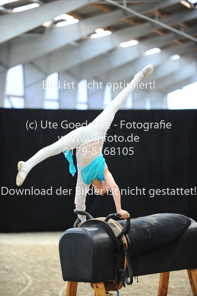 Ottenbüttel-2017---Einzelvoltigierer_111.jpg