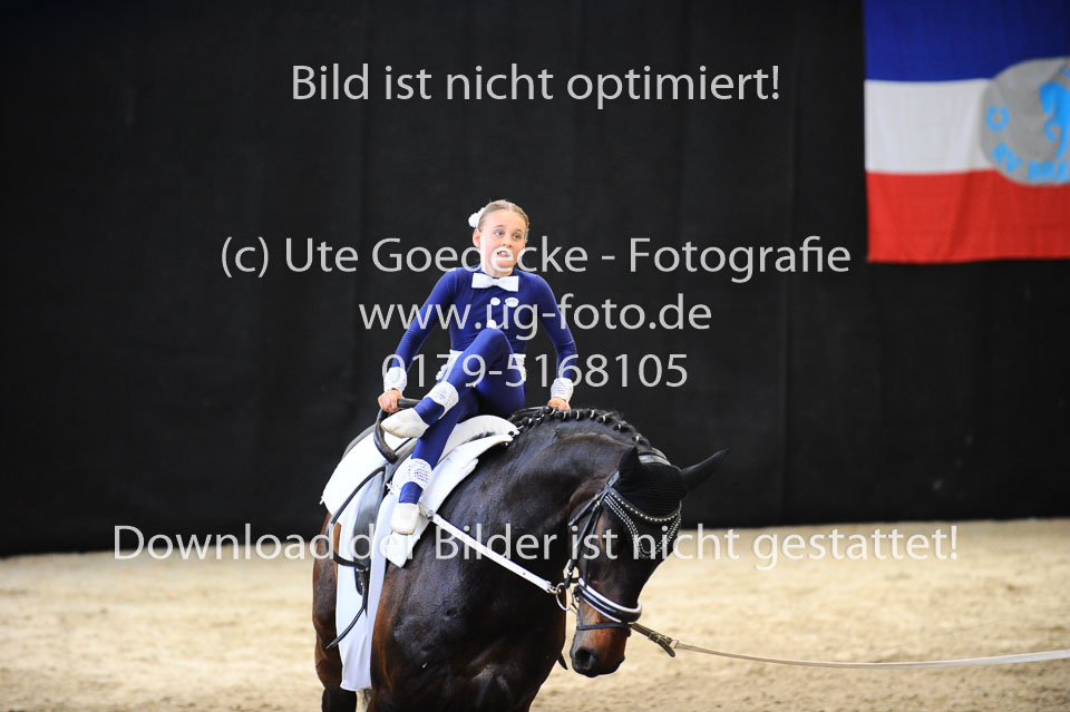 Ottenbüttel-2017---Einzelvoltigierer_135.jpg