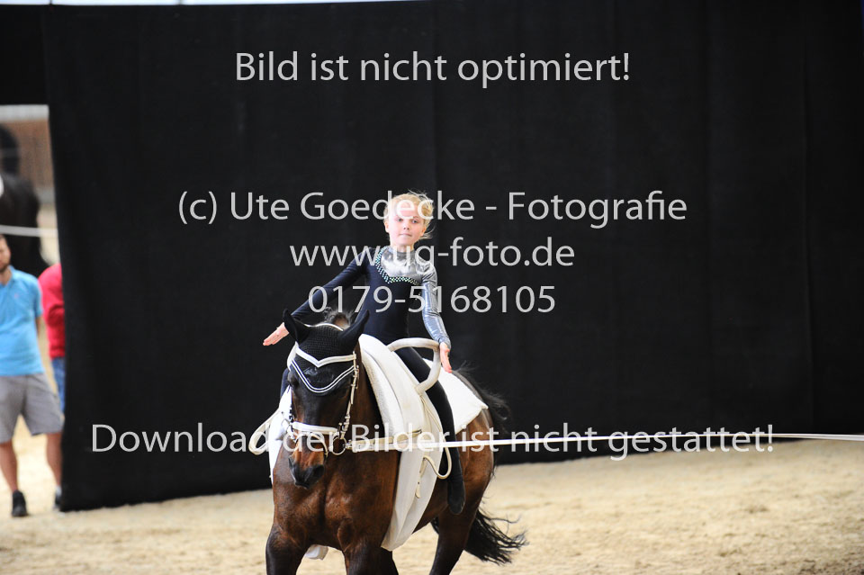 Ottenbüttel-2017---Einzelvoltigierer_156.jpg