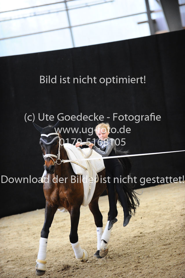 Ottenbüttel-2017---Einzelvoltigierer_160.jpg