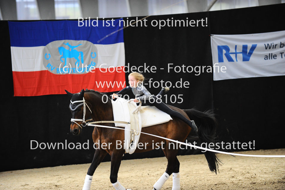 Ottenbüttel-2017---Einzelvoltigierer_170.jpg