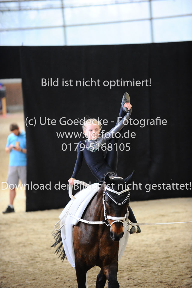 Ottenbüttel-2017---Einzelvoltigierer_177.jpg
