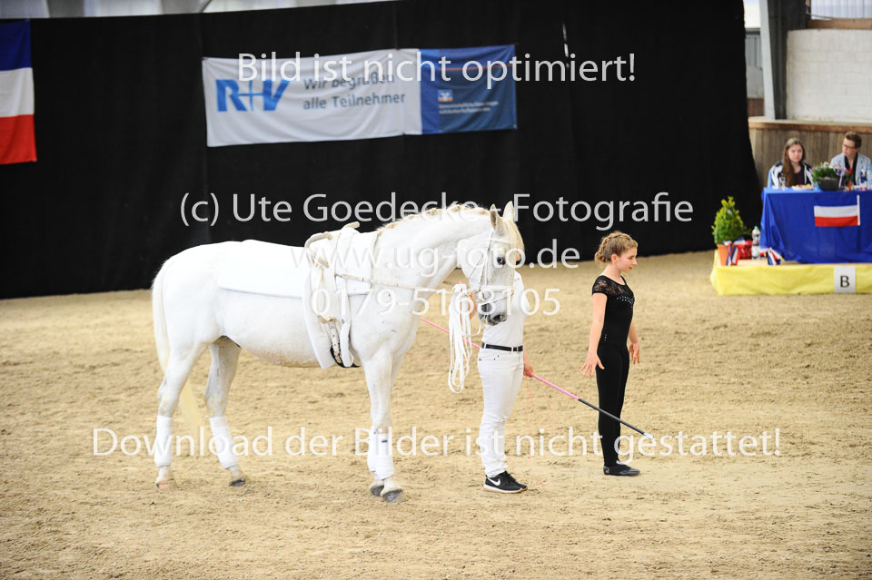 Ottenbüttel-2017---Einzelvoltigierer_184.jpg