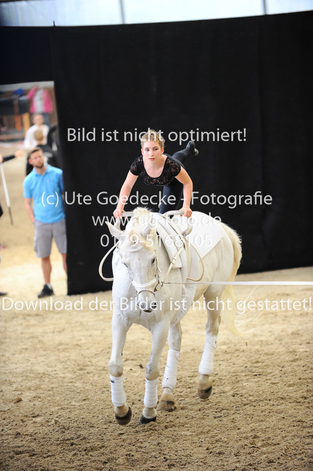 Ottenbüttel-2017---Einzelvoltigierer_190.jpg