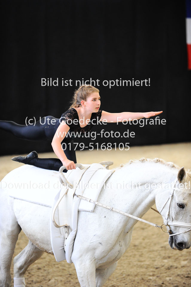 Ottenbüttel-2017---Einzelvoltigierer_191.jpg