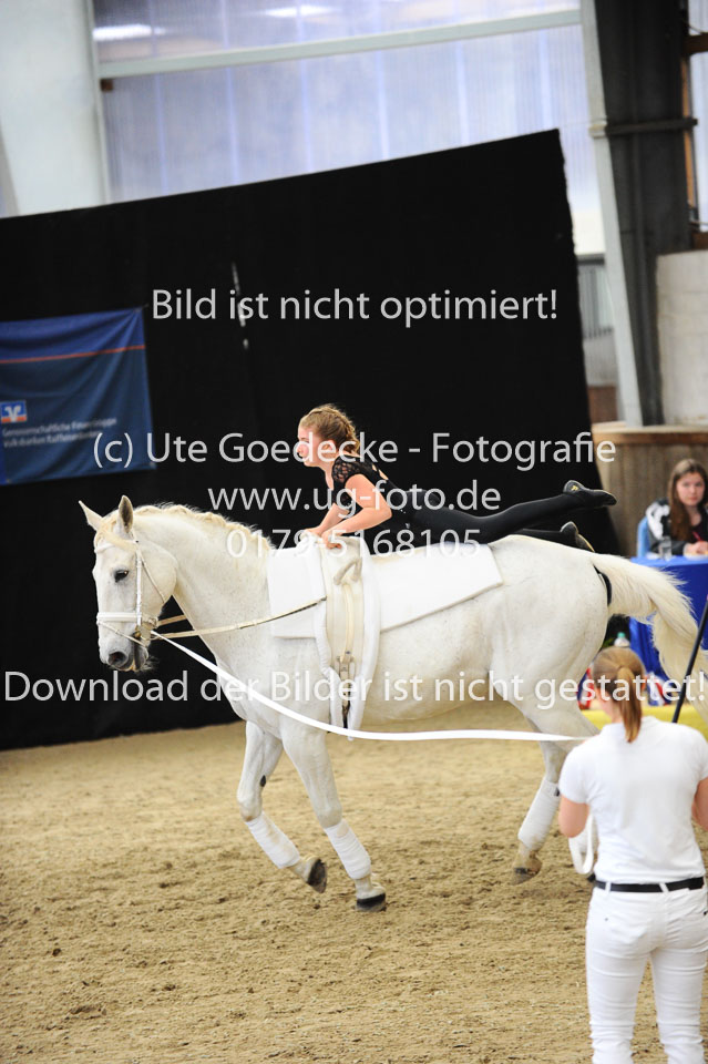 Ottenbüttel-2017---Einzelvoltigierer_199.jpg