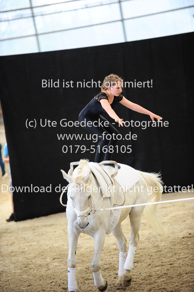 Ottenbüttel-2017---Einzelvoltigierer_205.jpg