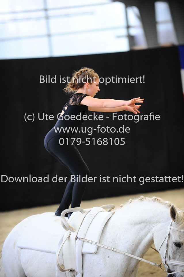 Ottenbüttel-2017---Einzelvoltigierer_207.jpg