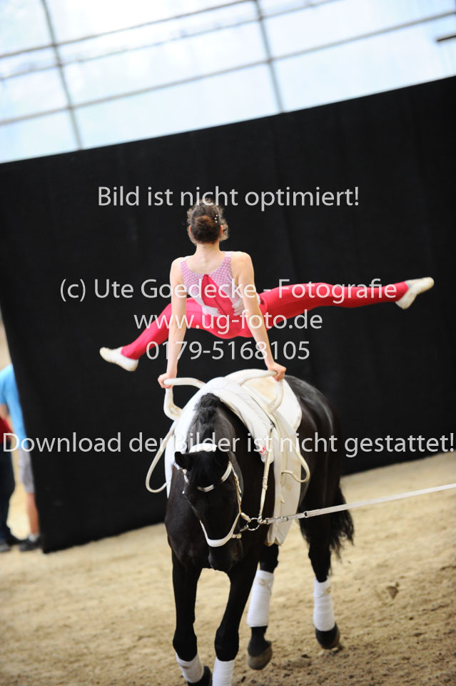 Ottenbüttel-2017---Einzelvoltigierer_214.jpg