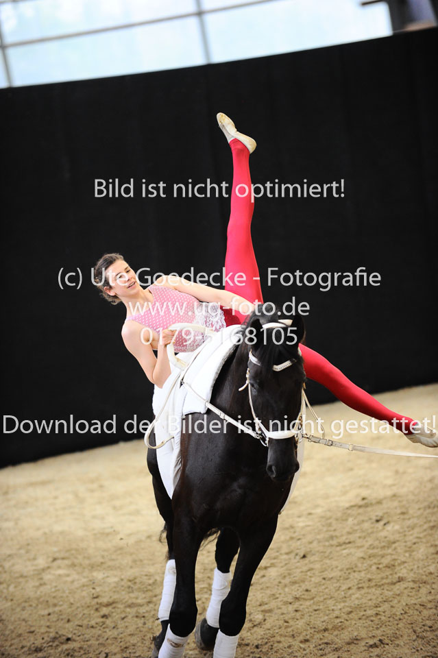 Ottenbüttel-2017---Einzelvoltigierer_224.jpg