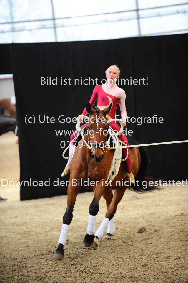 Ottenbüttel-2017---Einzelvoltigierer_230.jpg