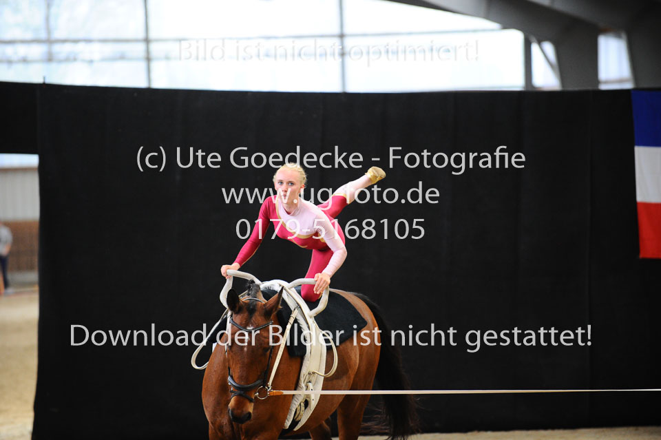 Ottenbüttel-2017---Einzelvoltigierer_233.jpg