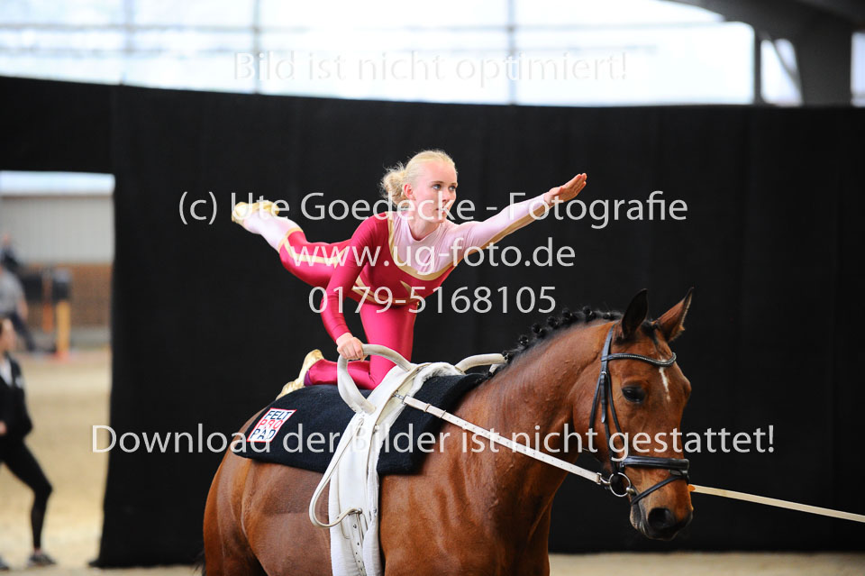 Ottenbüttel-2017---Einzelvoltigierer_237.jpg