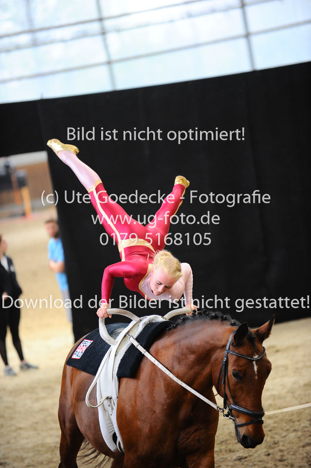 Ottenbüttel-2017---Einzelvoltigierer_239.jpg