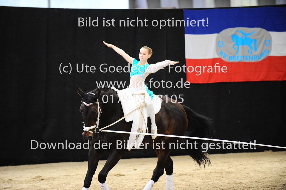 Ottenbüttel-2017---Einzelvoltigierer_246.jpg