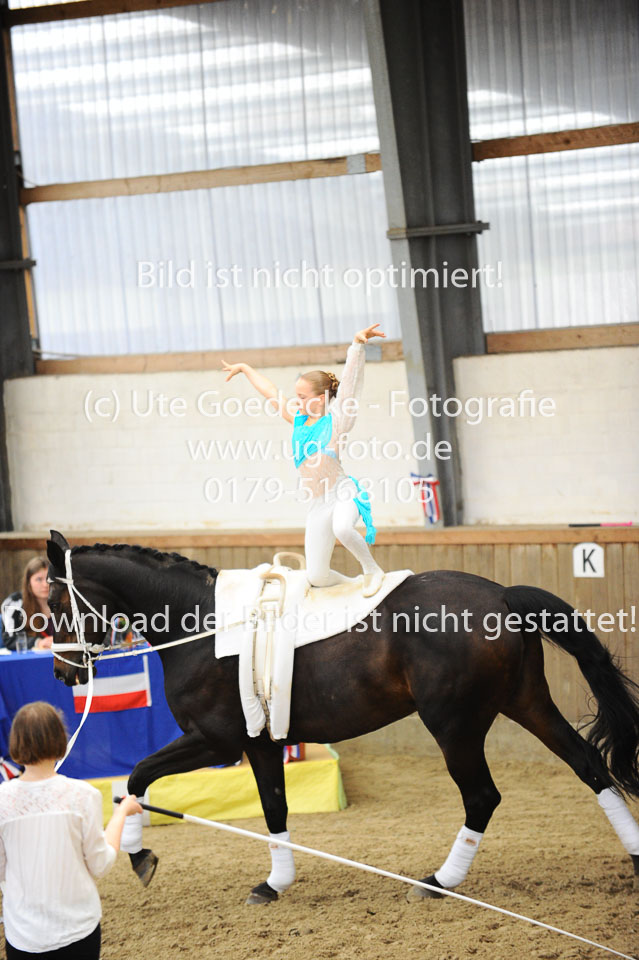Ottenbüttel-2017---Einzelvoltigierer_265.jpg