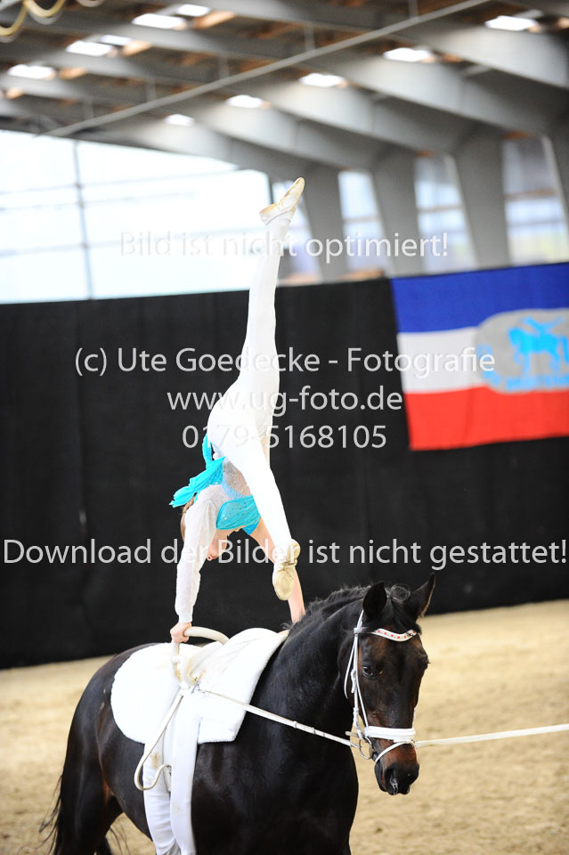 Ottenbüttel-2017---Einzelvoltigierer_273.jpg