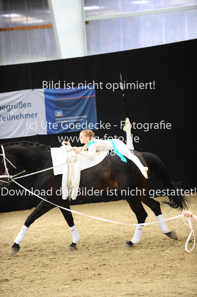 Ottenbüttel-2017---Einzelvoltigierer_275.jpg