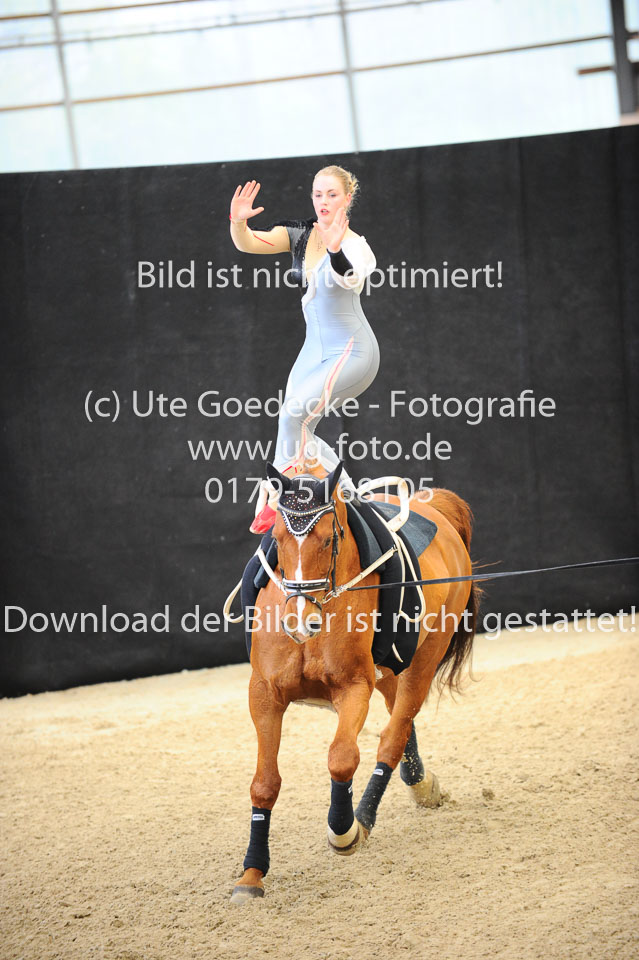 Ottenbüttel-2017---Einzelvoltigierer_291.jpg