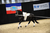 Ottenbüttel-2017---Einzelvoltigierer_215.jpg