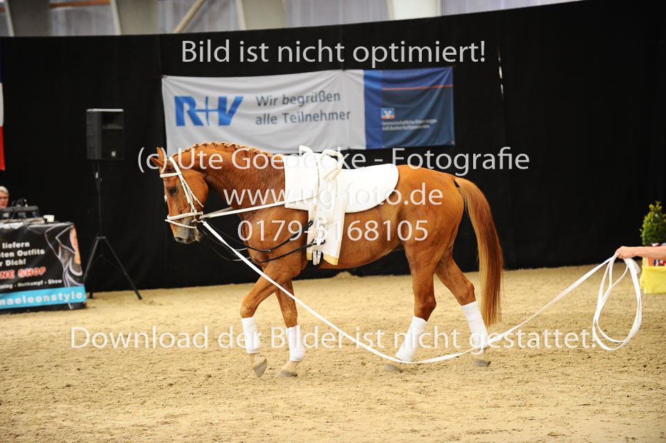 Ottenbüttel-2017---Mannschaften_071.jpg