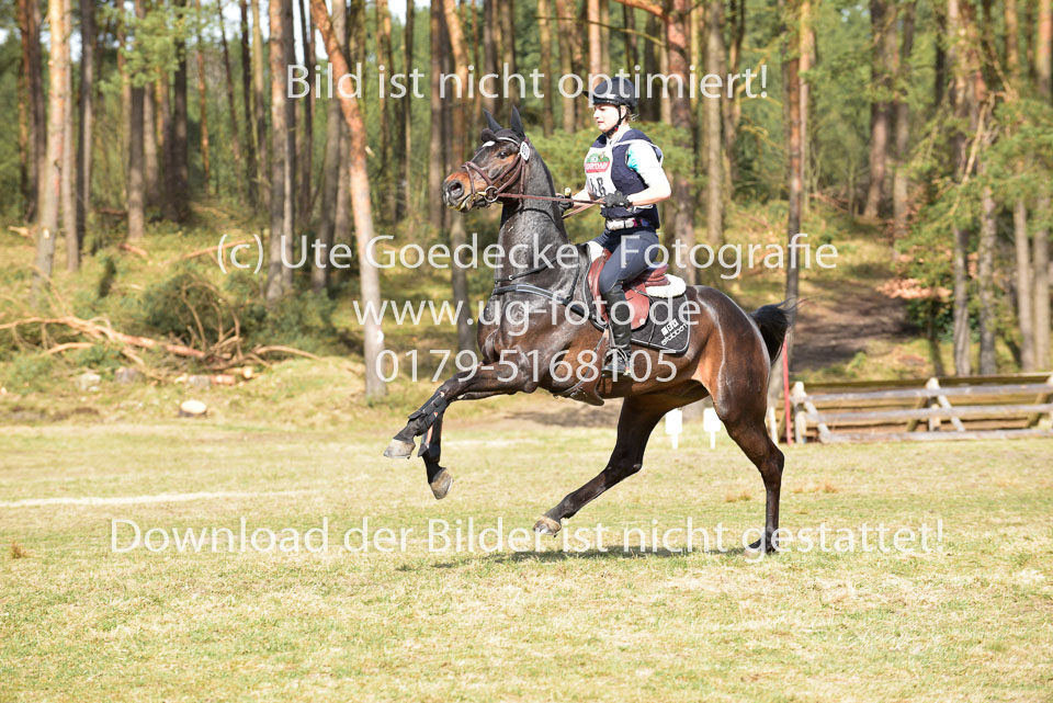 2018-4-7--Sahrendorf-_011.jpg