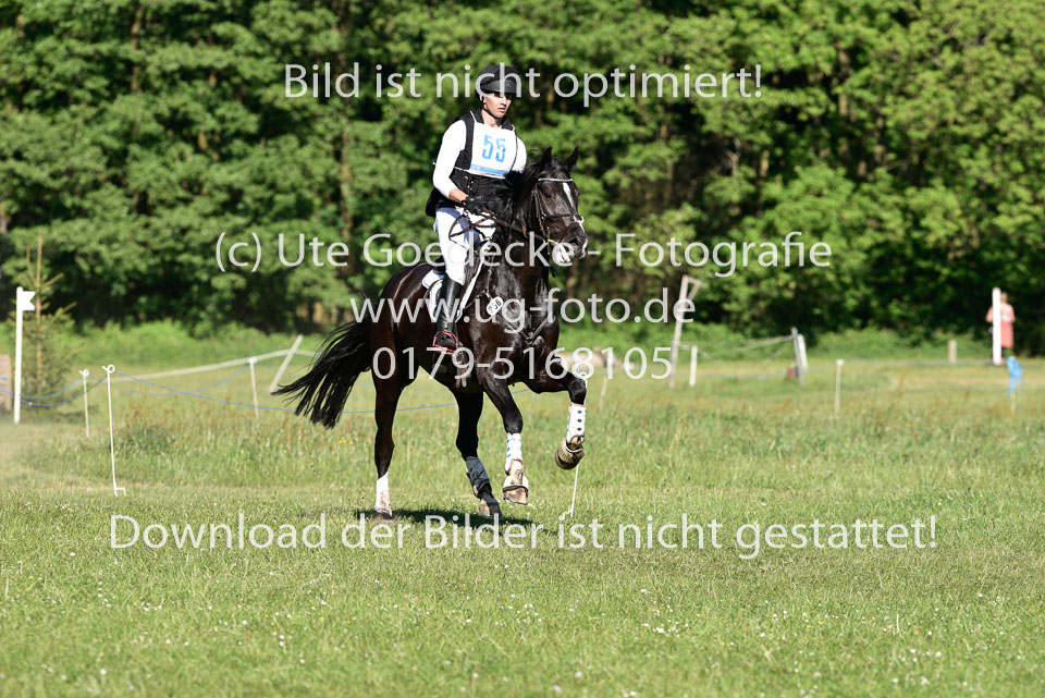 20-5-18---CIC--Hornsmühlen---146.jpg