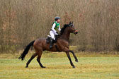 15-4-18-Gelände-A---179.jpg