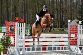 C-Tomia---Tuschke_3.jpg