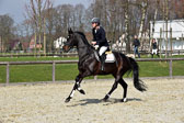 Lumiere-d'or---Totrh_3.jpg