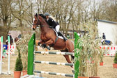 Springen L