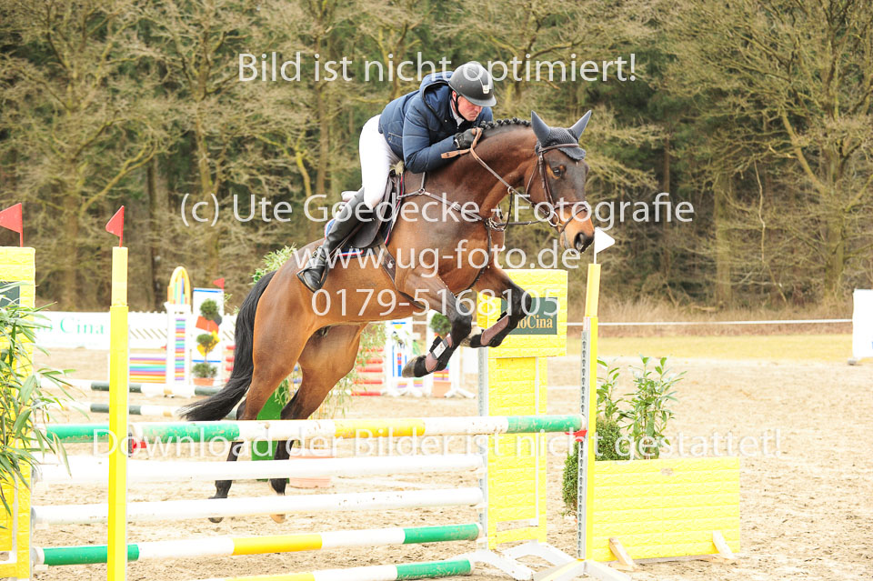20180323---Springpferde-A---170.jpg