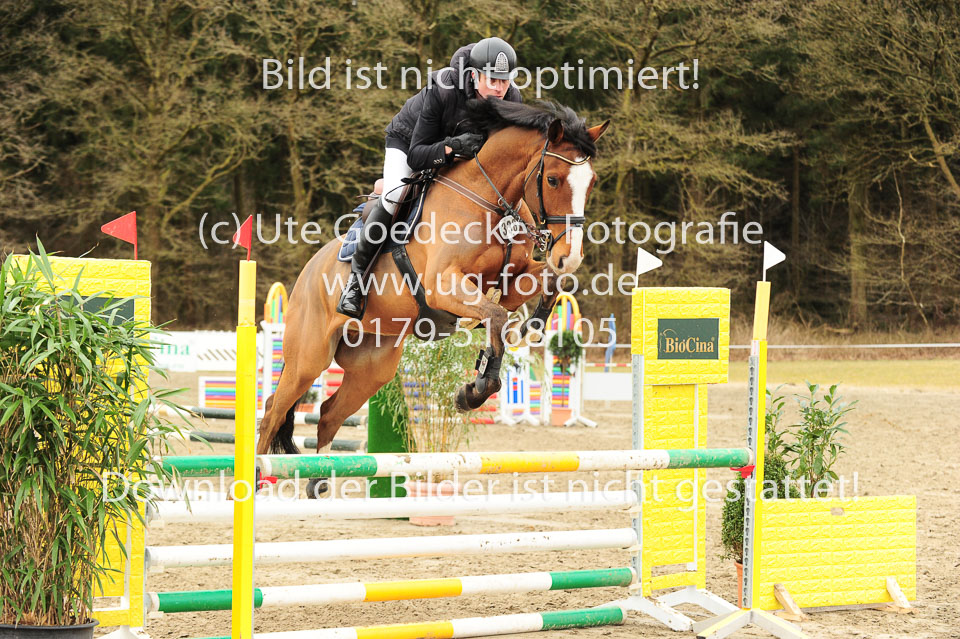 20180323---Springpferde-A---200.jpg