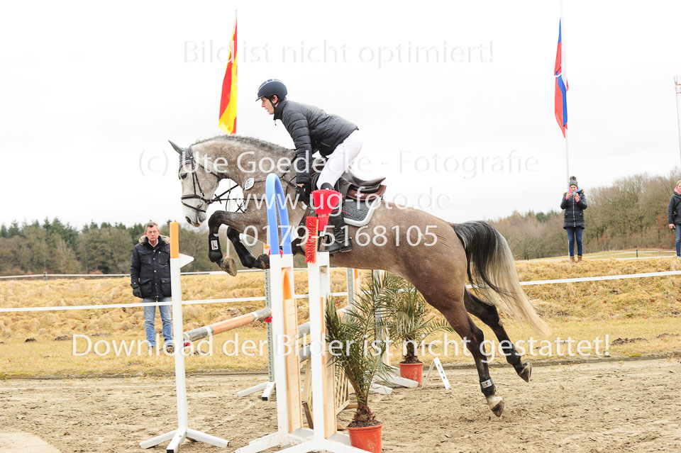 20180323---Springpferde-A---28.jpg