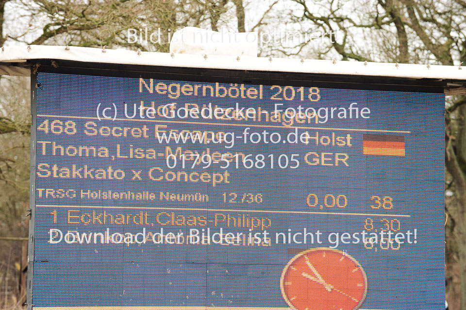 20180323---Springpferde-A---65.jpg