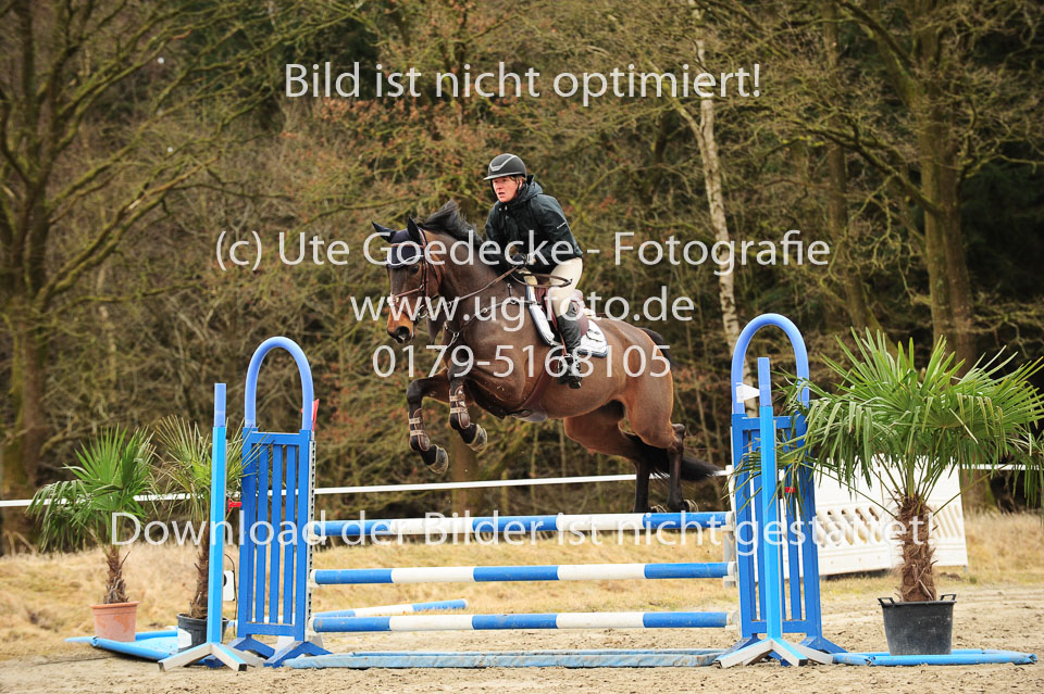 20180323---Springpferde-A---71.jpg
