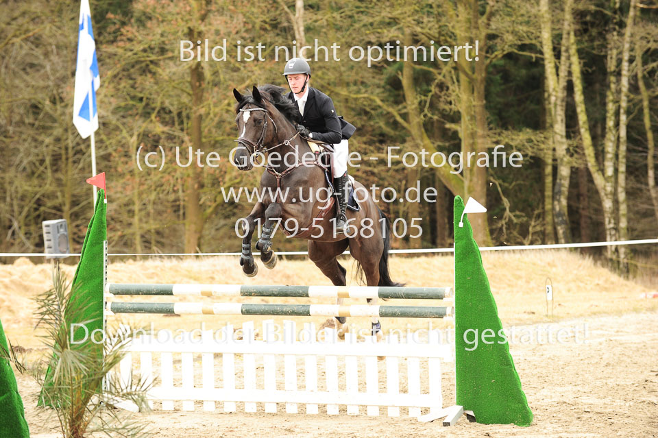 20180323---Springpferde-L-150.jpg