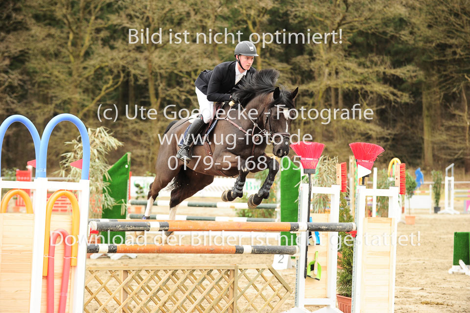 20180323---Springpferde-L-153.jpg
