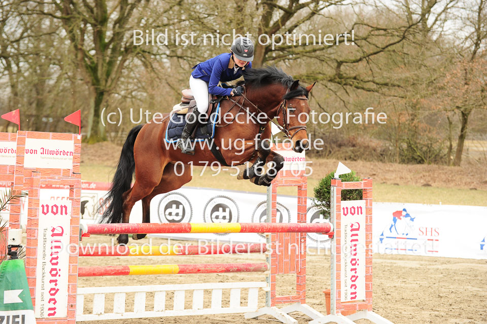 20180323---Springpferde-L-156.jpg