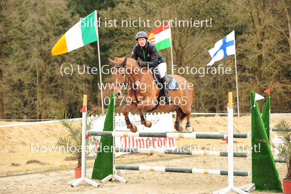 20180323---Springpferde-L-180.jpg