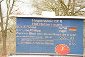 20180323---Springpferde-L-113.jpg