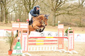 20180323---Springpferde-L-207.jpg