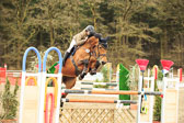 20180323---Springpferde-L-219.jpg