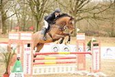 20180323---Springpferde-L-227.jpg